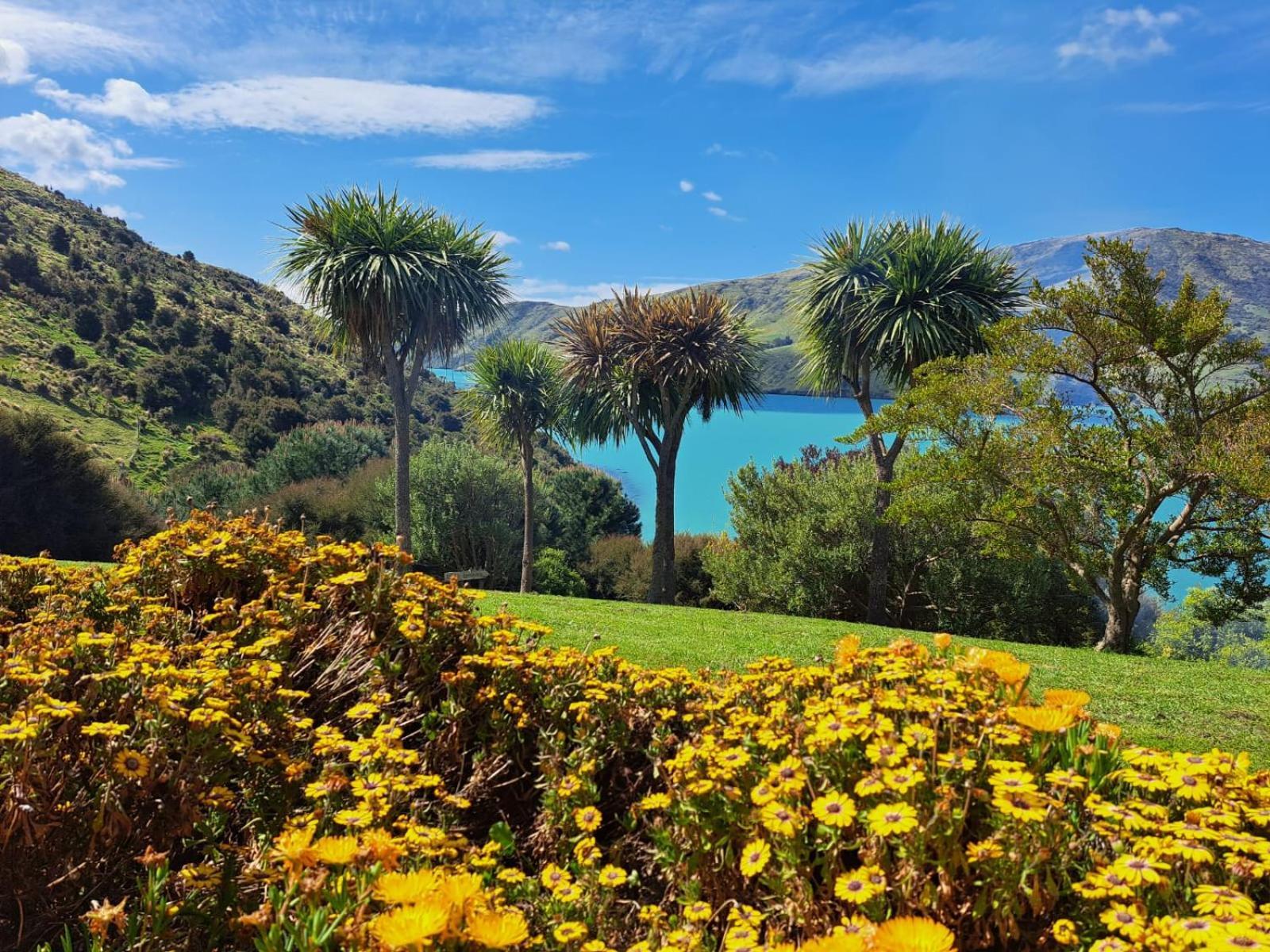 Port Levy B & B Christchurch Extérieur photo